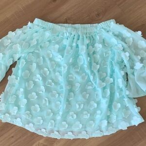 Women’s Light Aqua Floral Appliqué Off-Shoulder Blouse